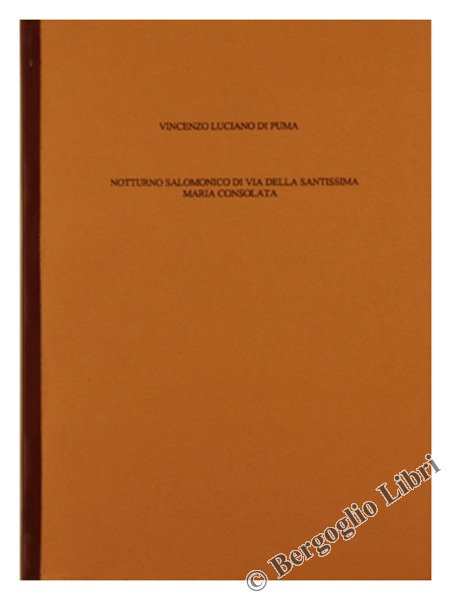 NOTTURNO SALOMONICO DI VIA DELLA SANTISSIMA MARIA CONSOLATA.
