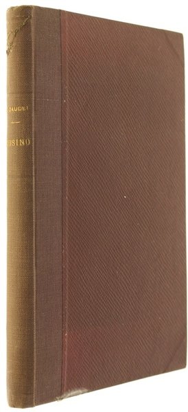 COSINO. Storia di un ragazzo.