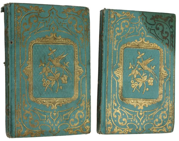 LA CHAUMIERE IRLANDAISE. Tome I - II. (complet)