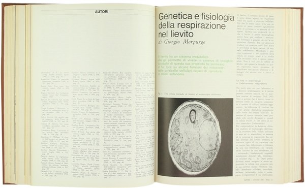 SAPERE. Annata 1969 - Volume LXX.