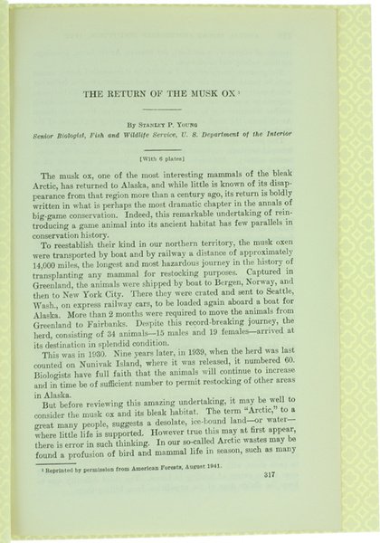 THE RETURN OF THE MUSK OX. | Immagine Gallery 1