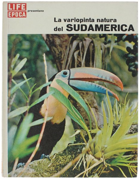 LA VARIOPINTA NATURA DEL SUD AMERICA.