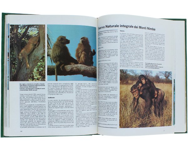 NATURA PROTETTA. Parchi nazionali e riserve naturali nel mondo.