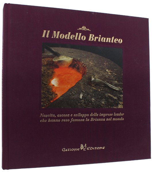 IL MODELLO BRIANTEO. Nascita, ascesa e sviluppo delle imprese leader … | Immagine principale