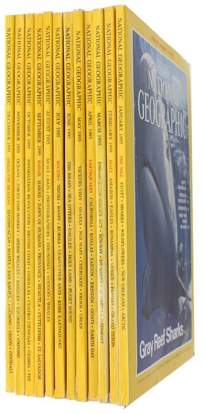 NATIONAL GEOGRAPHIC MAGAZINE - Annata 1995 completa (edizione in lingua …