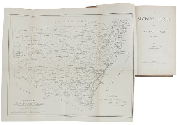 A STATISTICAL SURVEY OF NEW SOUTH WALES 1893-4. [Original Edition]