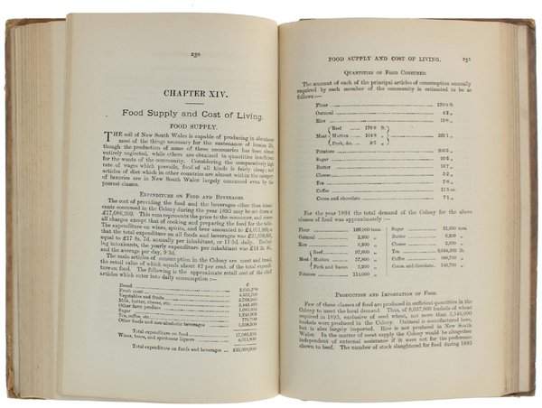 A STATISTICAL SURVEY OF NEW SOUTH WALES 1893-4. [Original Edition]