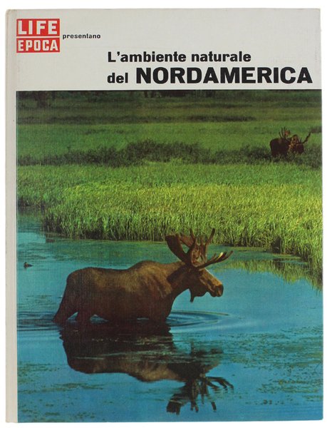 L'AMBIENTE NATURALE DEL NORDAMERICA.