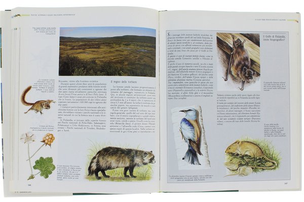 LA NATURA IN EUROPA. Paesaggi, flora e fauna.
