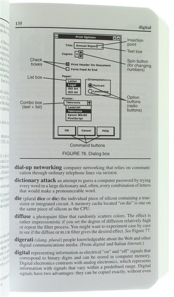 DICTIONARY OF COMPUTER AND INTERNET TERMS.