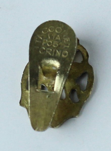 DISTINTIVO DA BAVERO "FAMIJA TURINEISA" vintage | Immagine Gallery 1