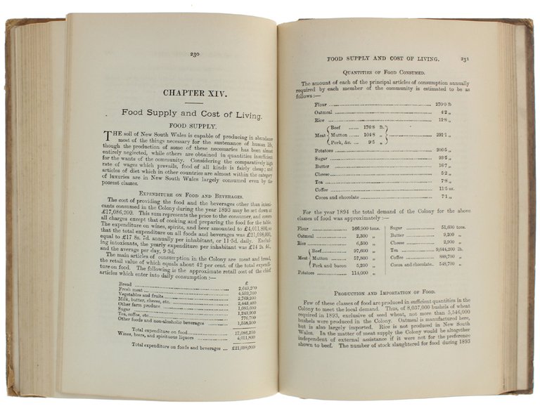A STATISTICAL SURVEY OF NEW SOUTH WALES 1893-4. [Original Edition]