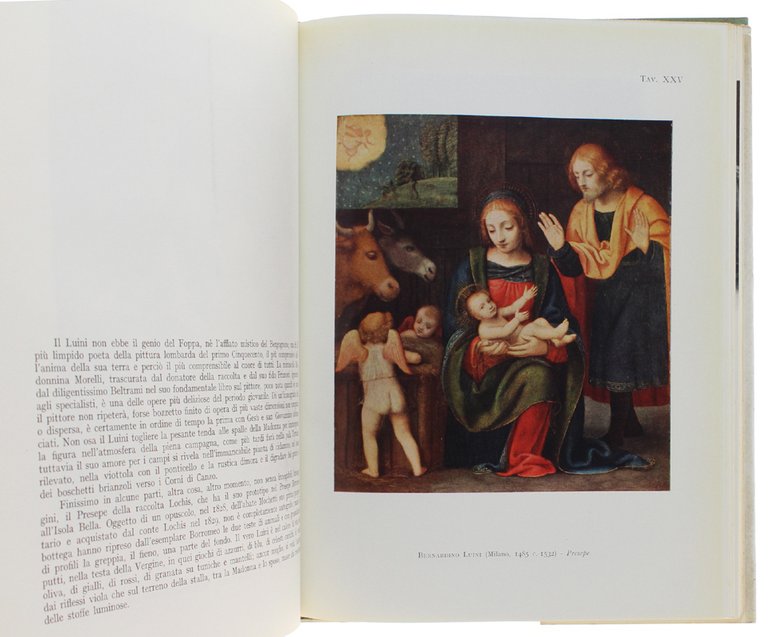 ACCADEMIA CARRARA [volume freschissimo]