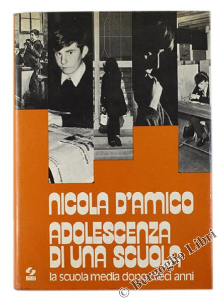ADOLESCENZA DI UNA SCUOLA. La scuola media dopo dieci anni.