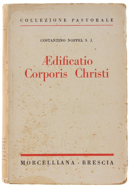 AEDIFICATIO CORPORIS CHRISTI.