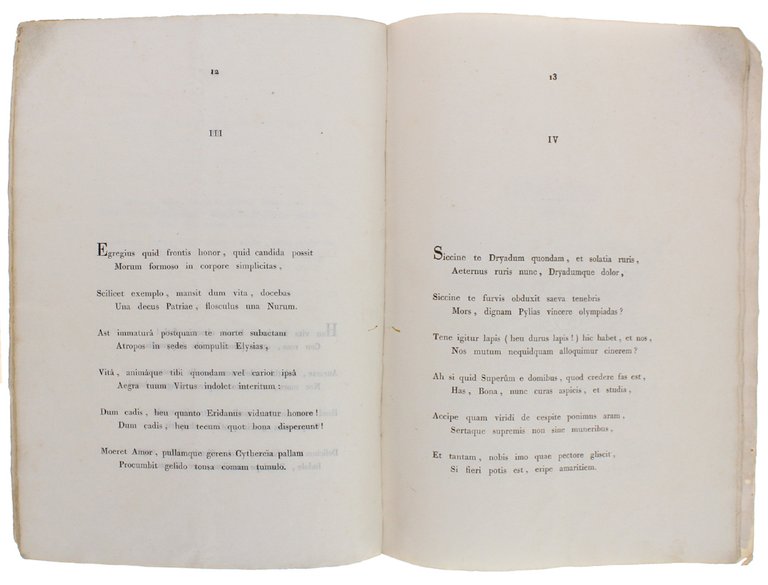 AI MANI della nobilissima signora marchesa donna Caterina Canonici nata … | Immagine Gallery 6