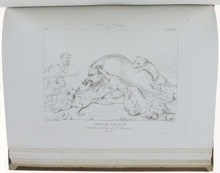 ALBUM PITTORICO DI SAVERIO PISTOLESI con note ed osservazioni. [Edizione …