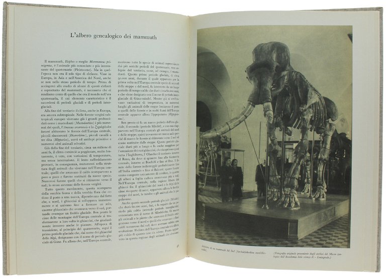ALLA SCOPERTA DEI MAMMUTH [splendido, freschissimo volume]