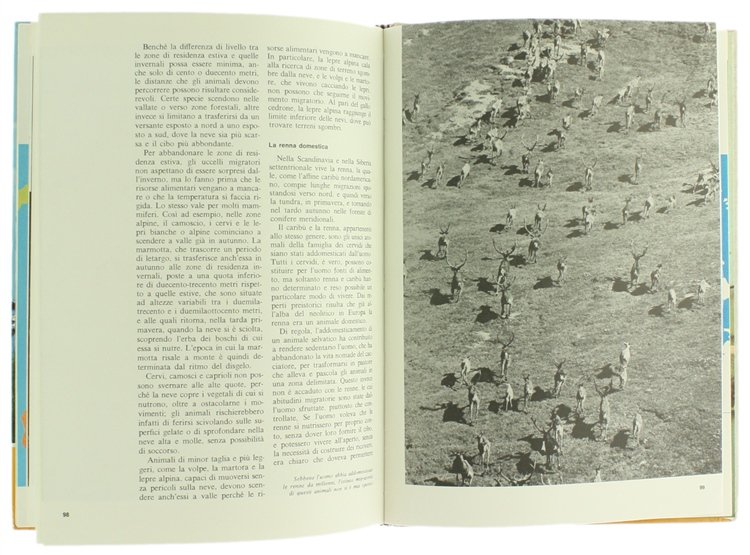 ANIMALI NOMADI E MIGRATORI.