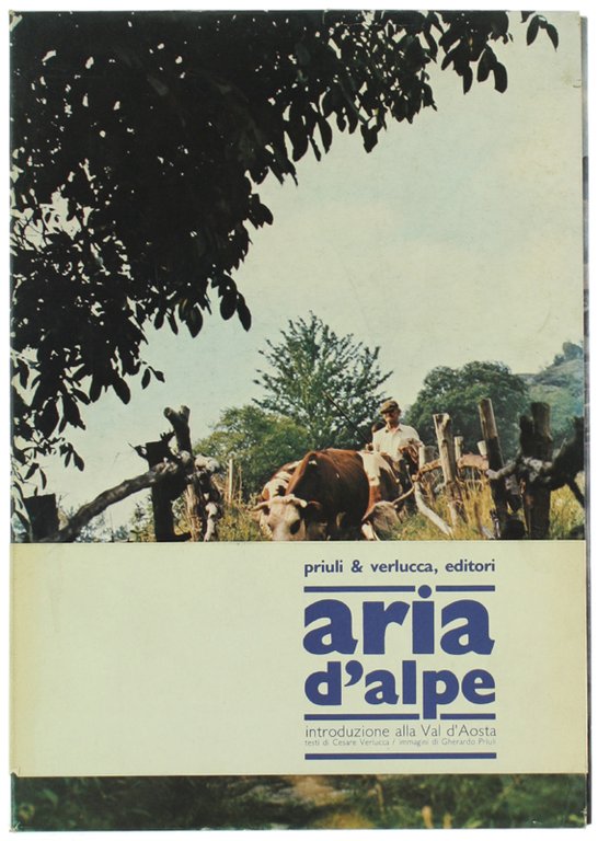 ARIA D'ALPE. Introduzione alla Val d'Aosta.
