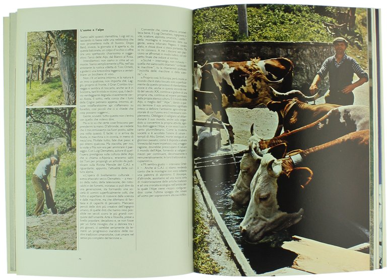 ARIA D'ALPE. Introduzione alla Val d'Aosta.