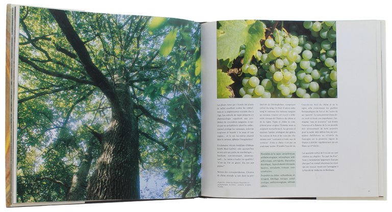 ARMAGNAC : Les Noces de la vigne, du chêne et …
