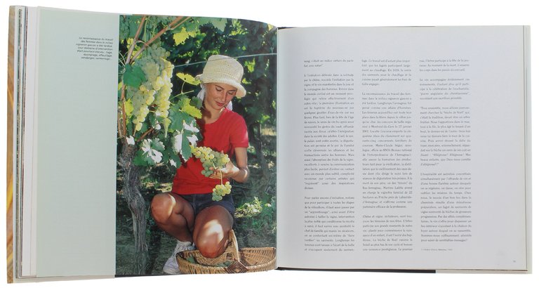 ARMAGNAC : Les Noces de la vigne, du chêne et …