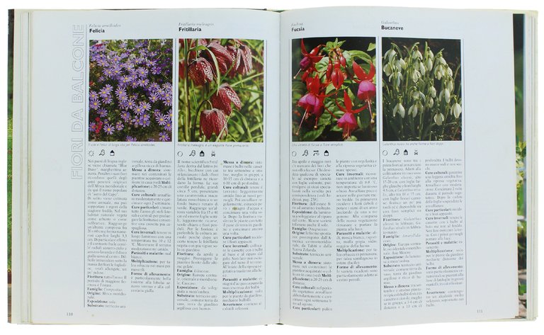 BALCONI IN FIORE - il terrazzo ideale per ogni stagione: …
