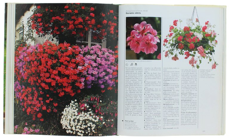 BALCONI IN FIORE - il terrazzo ideale per ogni stagione: …