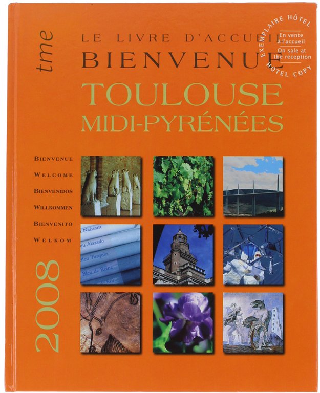 BIENVENUE - WELCOME - BIENVENIDOS. LE LIVRE D'ACCUEIL TOULOUSE MIDI-PYRENEES …