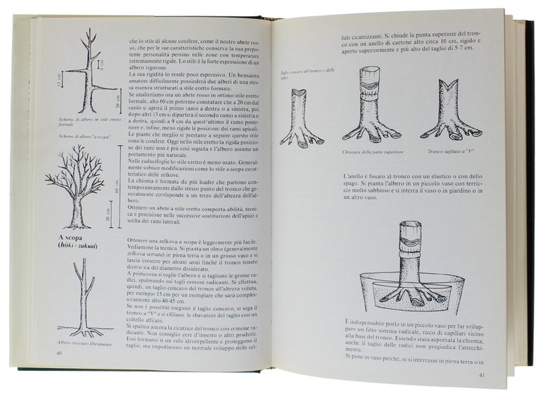 BONSAI - L'arte di coltivare alberi in miniatura [1a edizione, …