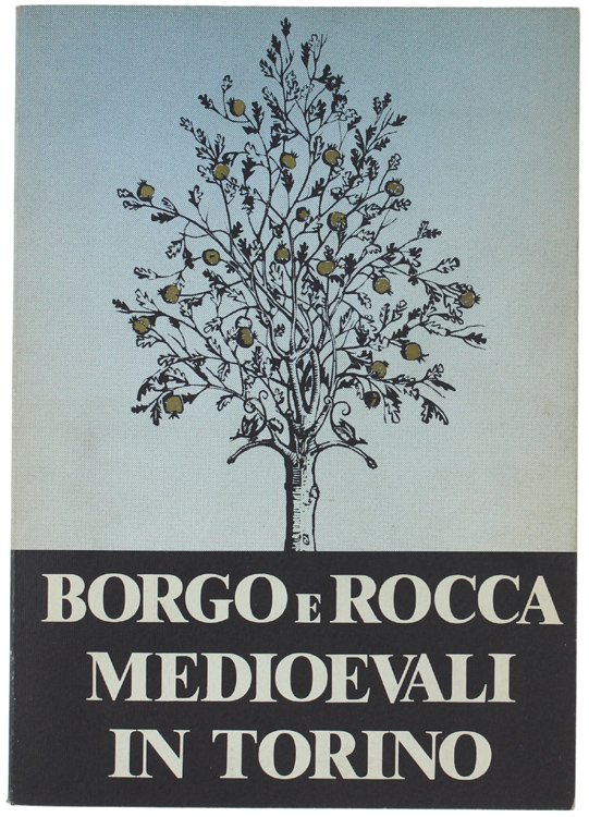 BORGO E ROCCA MEDIOEVALI IN TORINO.
