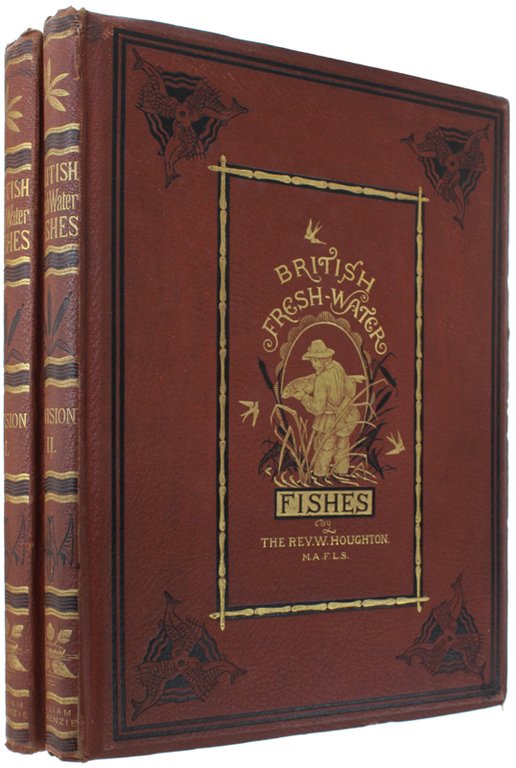 BRITISH FRESH-WATER FISHES.