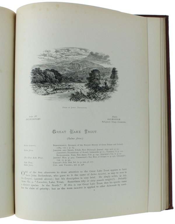 BRITISH FRESH-WATER FISHES.