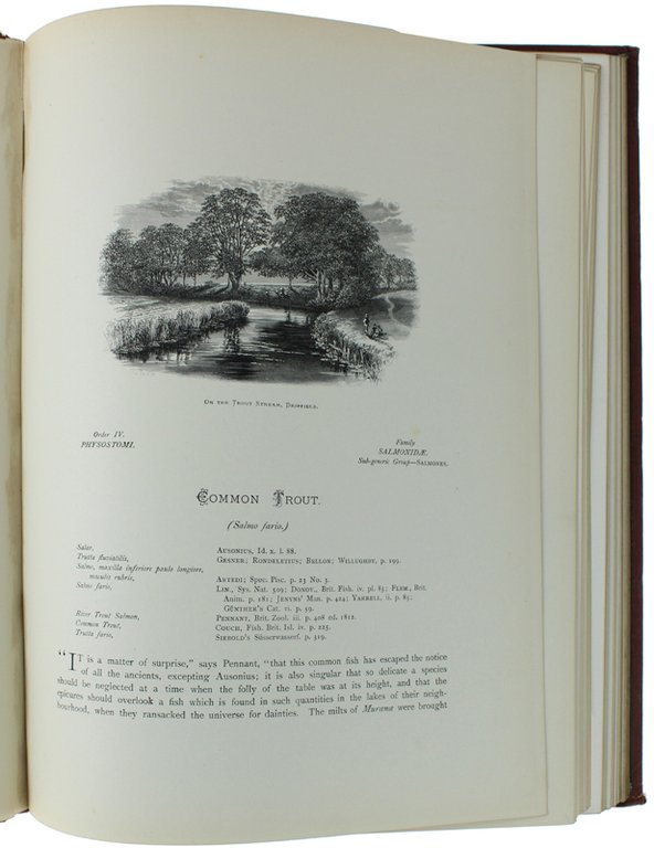 BRITISH FRESH-WATER FISHES.