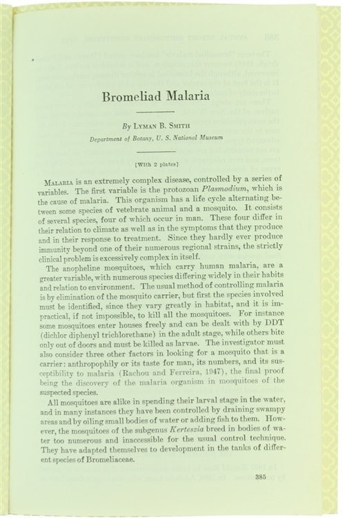BROMELIAD MALARIA.