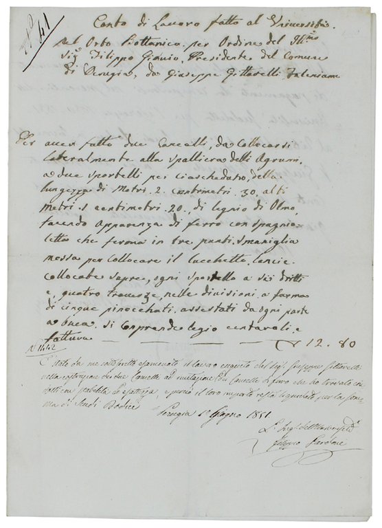CARTA DI LAVORO FATTA AL UNIVERSITA' NEL ORTO BOTTANICO PER …