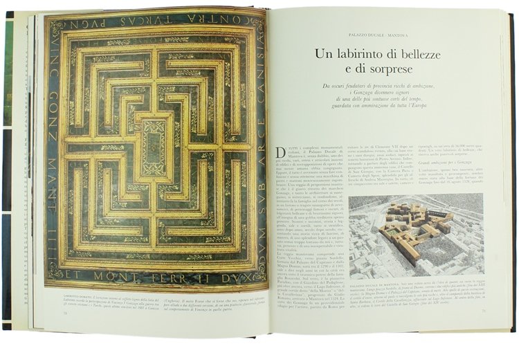 CASTELLI E PALAZZI D'ITALIA.