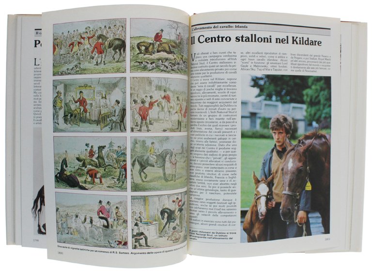 CAVALLI E CAVALIERI.