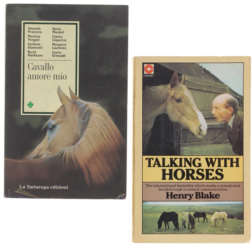 CAVALLO AMORE MIO + TALKING WITH HORSES (A Study of …