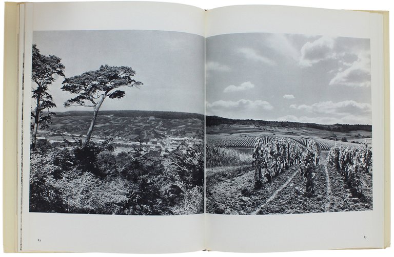 CHAMPAGNE. Photographies de Gerald Maurois et Augustin Dumage.