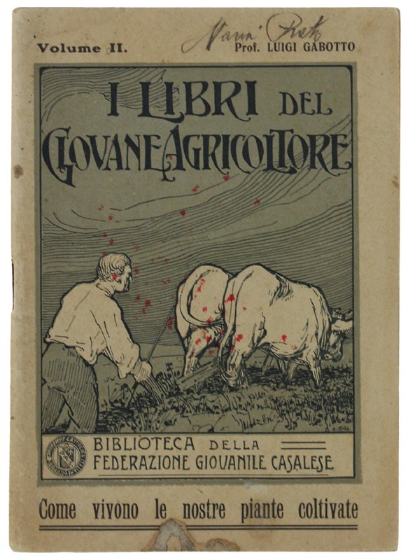 COME VIVONO LE NOSTRE PIANTE COLTIVATE.