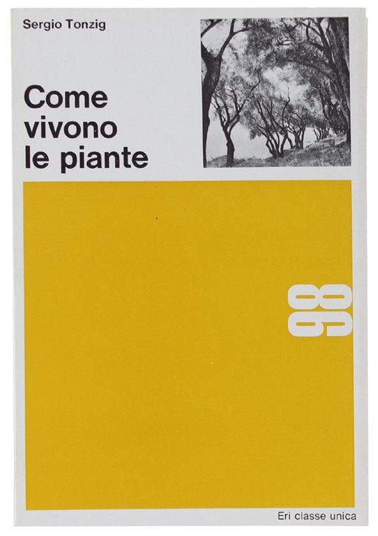COME VIVONO LE PIANTE. | Immagine Gallery 2