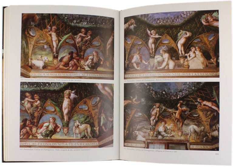 CORTI DEL RINASCIMENTO NELLA PROVINCIA DI PARMA.