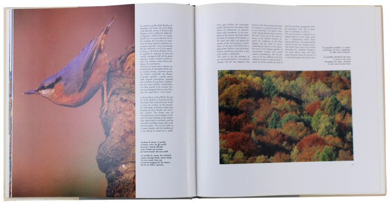 COSA TI SVELA IL PO - Viaggio fotonaturalistico lungo il …