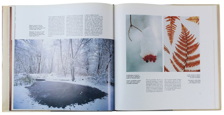 COSA TI SVELA IL PO - Viaggio fotonaturalistico lungo il …