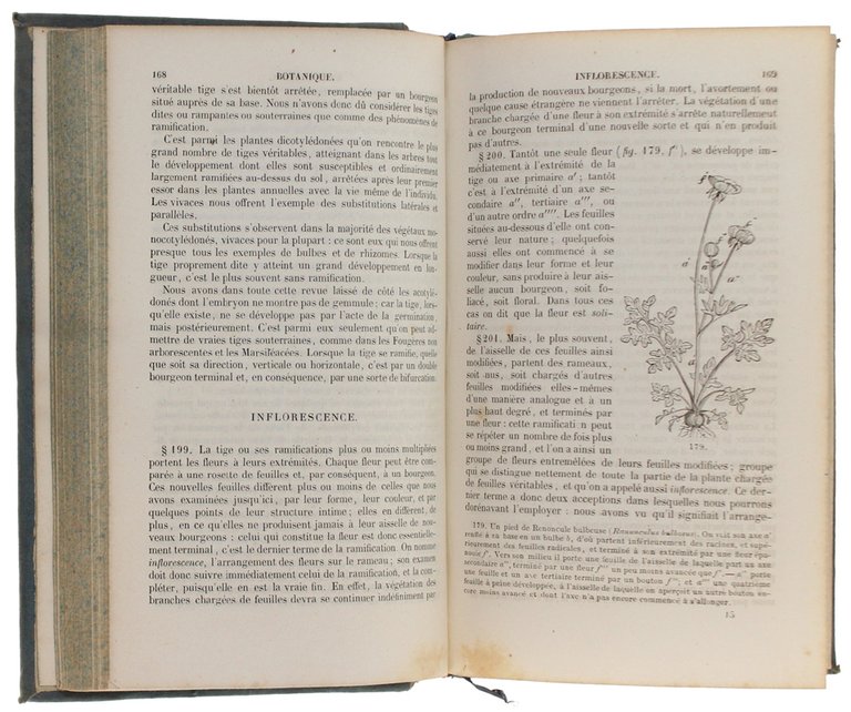 Cours Elémentaire d'Histoire Naturelle. BOTANIQUE, Partie I: Organes et fonctions …