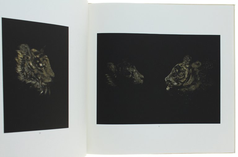DARIO SERRA: TIGRI | Immagine Gallery 2