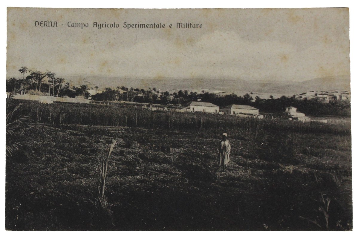 DERNA Campo Agricolo Sperimentale e militare CARTOLINA COLOIALE del 1918