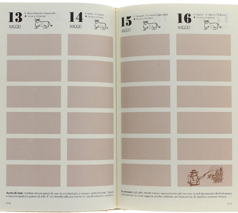 DIARIO DEL GENTILUOMO DI CAMPAGNA.